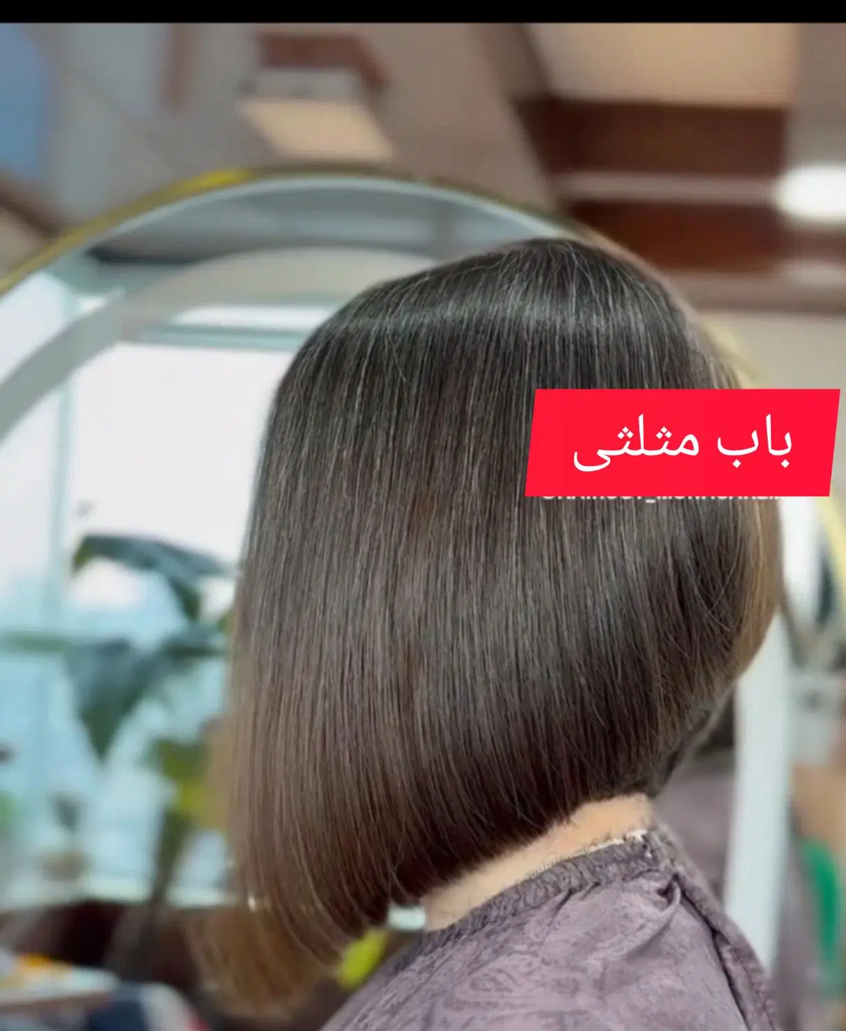 کوتاهی مو و فشیال مرودشت، دولت آباد