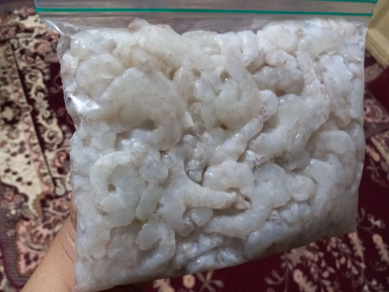 میگو|ماهی|بهبهان, |دیوار