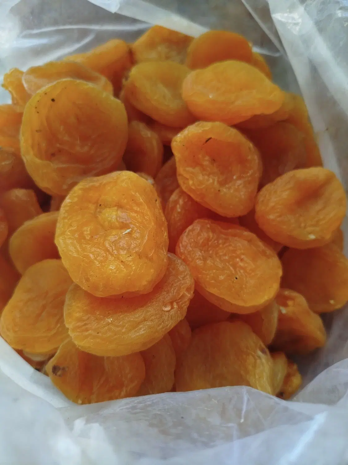 قیصی|خوردنی و آشامیدنی|آذرشهر, |دیوار
