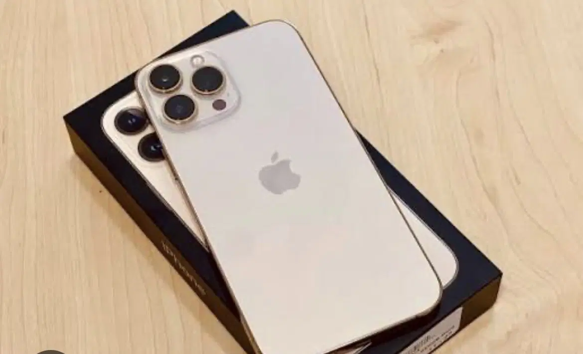 iphone 13 promax 512 gb gold lla|موبایل|شیراز, تلخ داش|دیوار