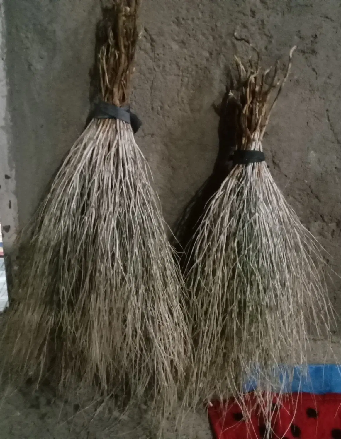 جارو|جاروبرقی، جارو شارژی، بخارشو|میاندوآب, |دیوار