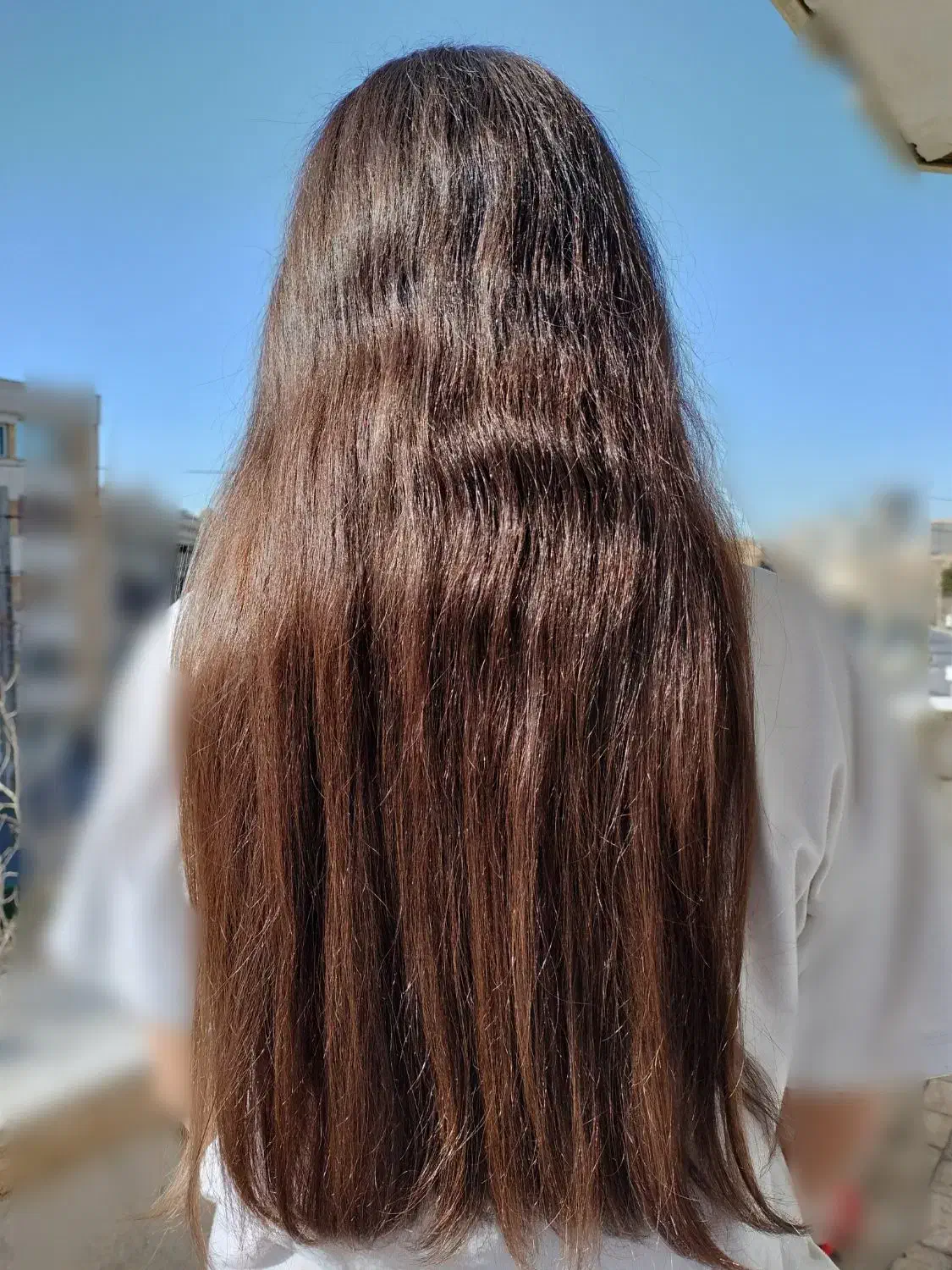 فروش مو|آرایشی، بهداشتی، درمانی|مشهد, کوثر|دیوار