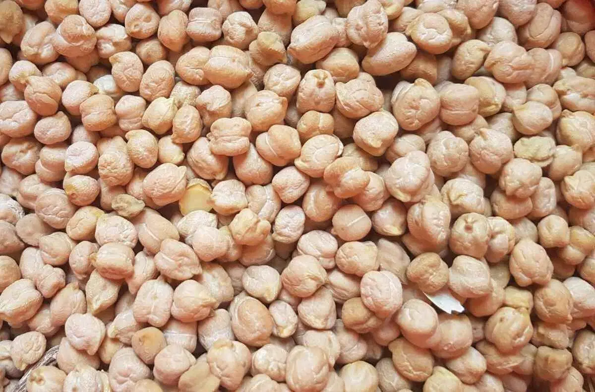 نخود|خوردنی و آشامیدنی|کوهین, |دیوار
