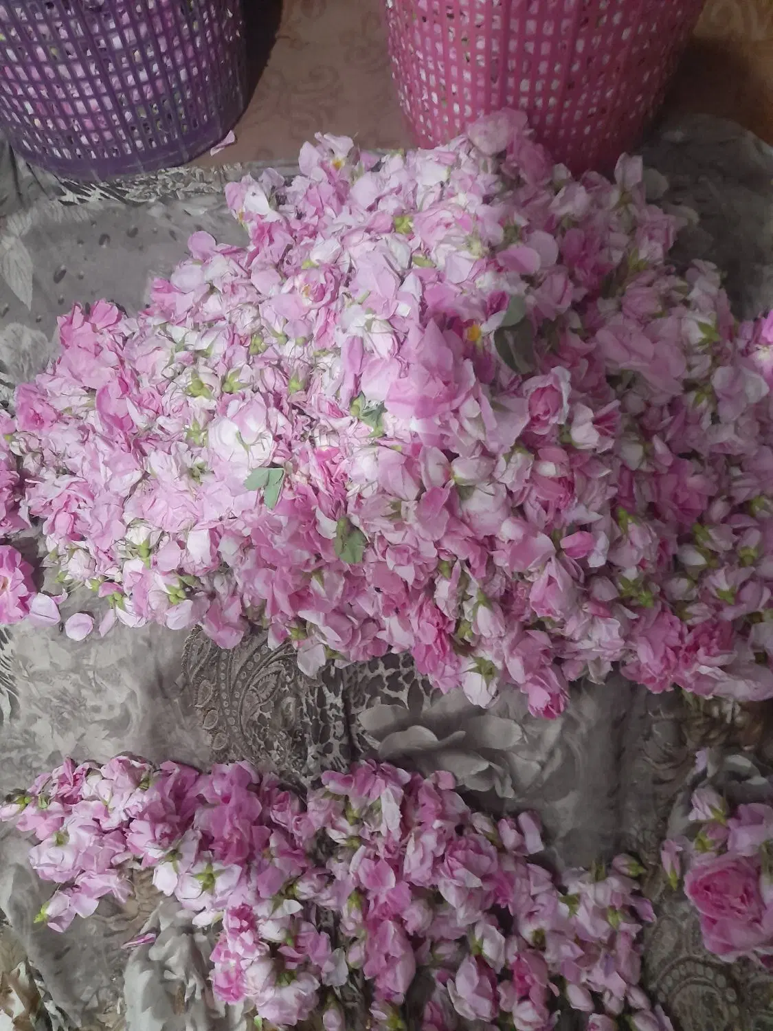 خوردنی|خوردنی و آشامیدنی|نیشابور, دربقاضی|دیوار