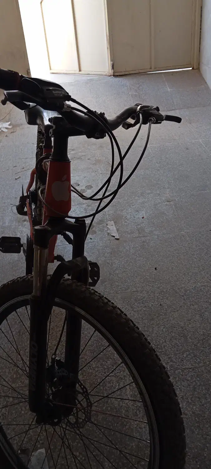 دوچرخه|دوچرخه، اسکیت، اسکوتر|اشکذر, |دیوار