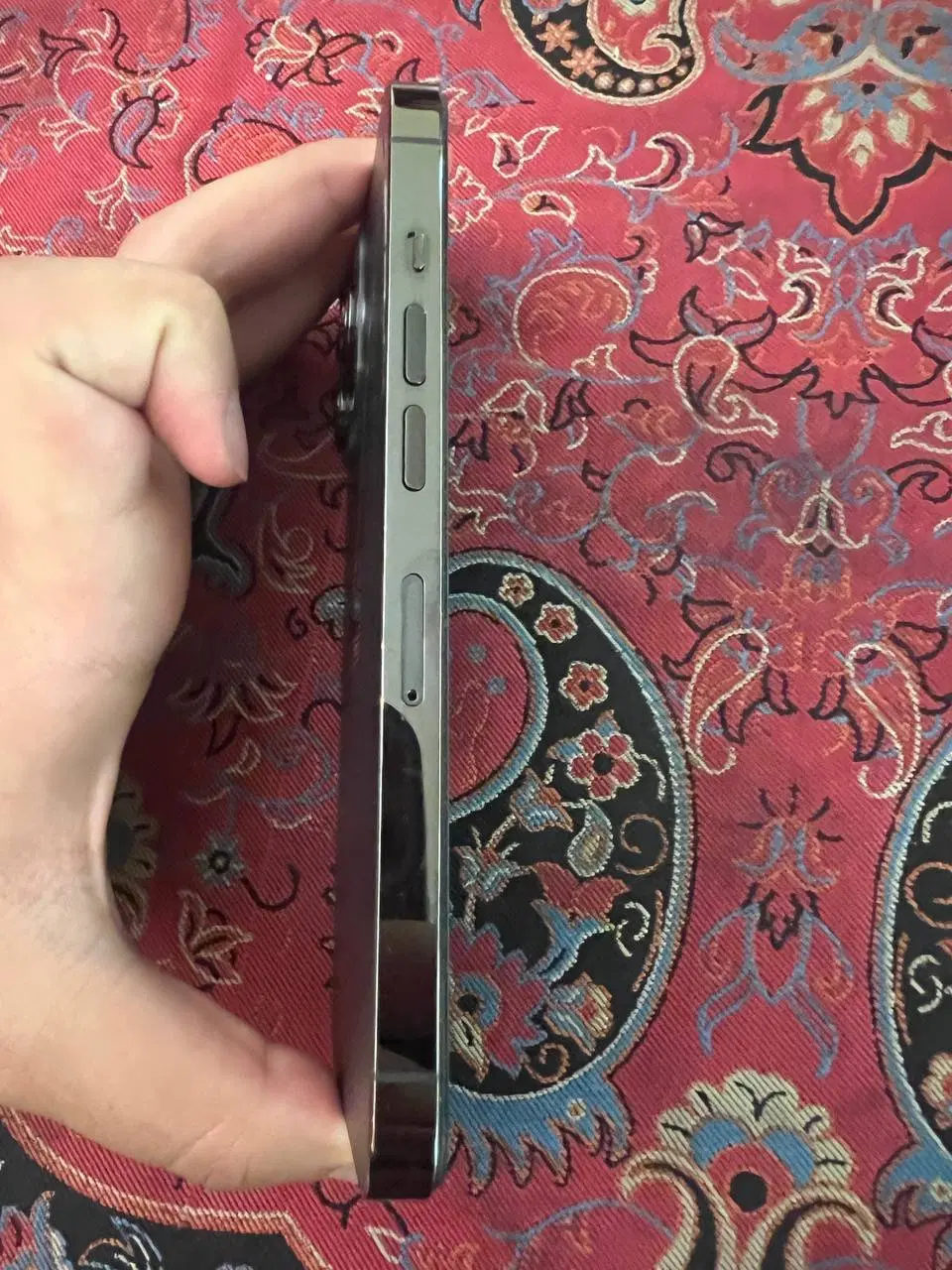 Iphone 13pro|موبایل|پرند, فاز ۳|دیوار