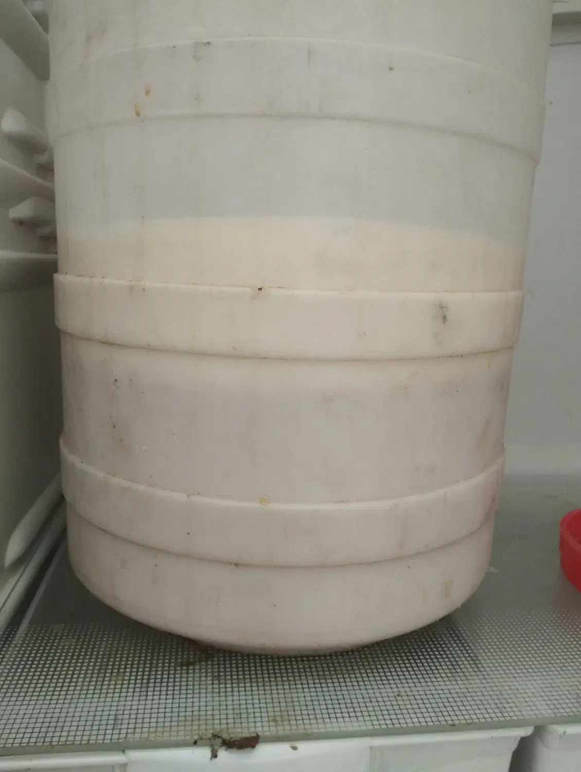 جک یا فله|خوردنی و آشامیدنی|بیرجند, |دیوار