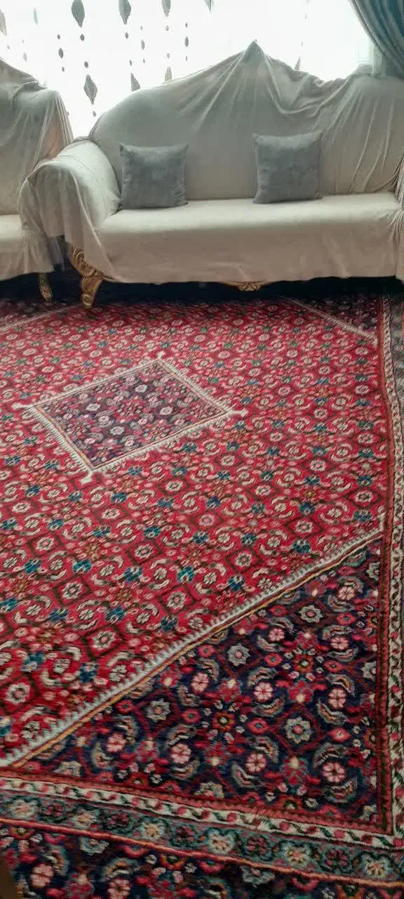 فرش دستباف|فرش|سهند, |دیوار