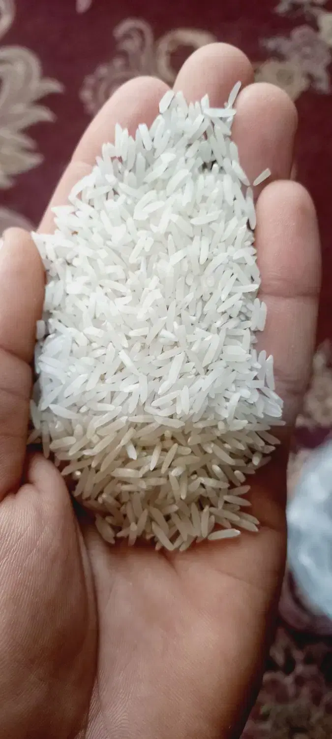 برنج فجر|خوردنی و آشامیدنی|سنگدوین, |دیوار