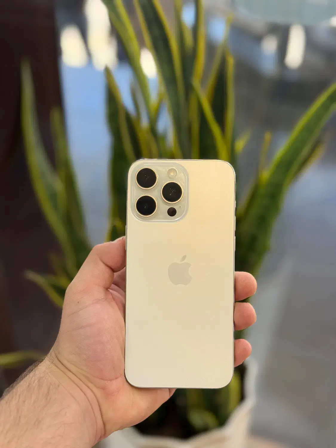 iphone|موبایل|شیراز, ملاصدرا|دیوار