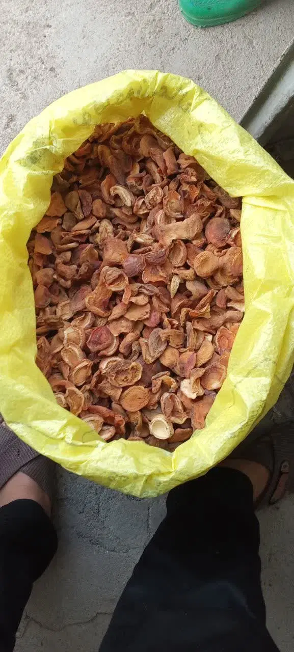 زرد آلو قرمز|خوردنی و آشامیدنی|انگوران, |دیوار
