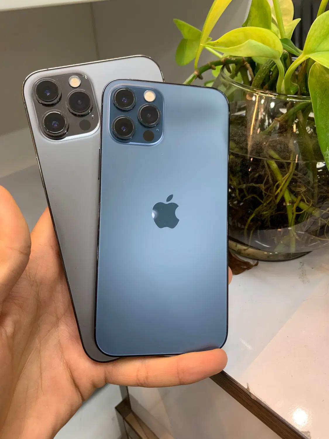 iphone 12 pro Max|موبایل|شیراز, ملاصدرا|دیوار