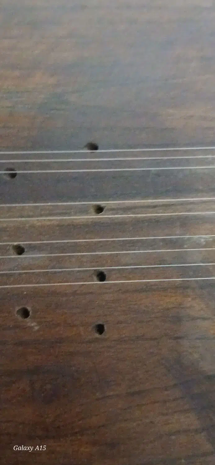 چگور|سازهای سنتی|بهارستان, |دیوار