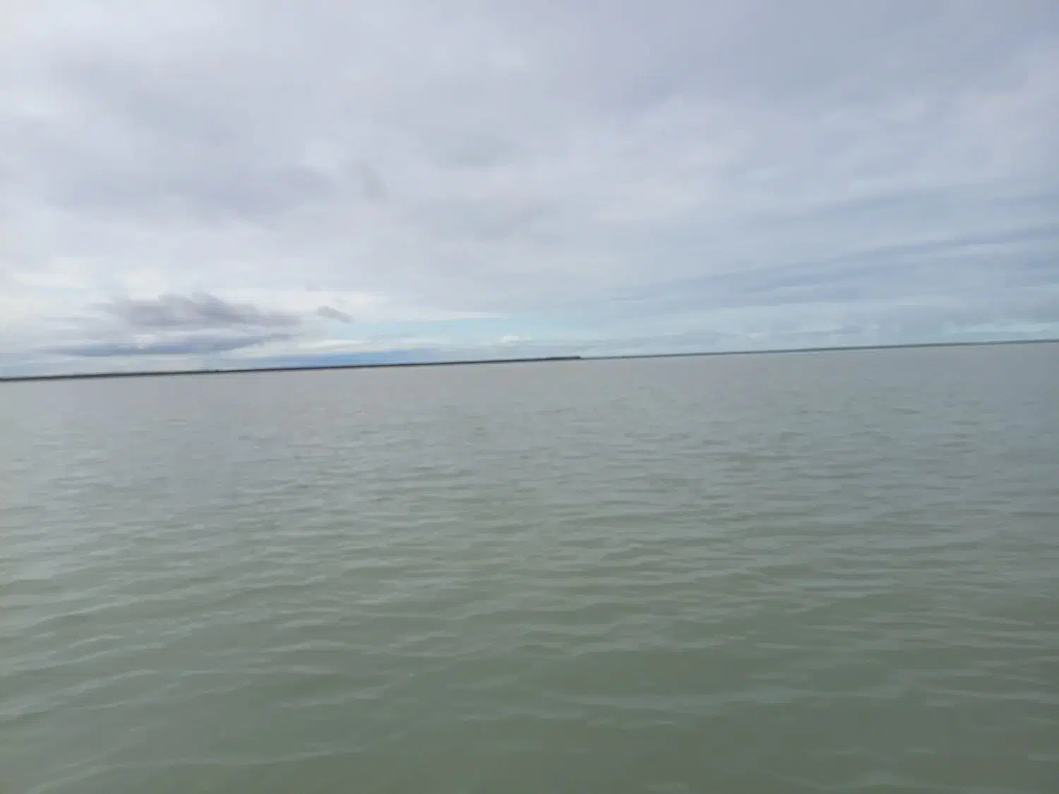 همسفر|فعالیت داوطلبانه|تهران, امانیه|دیوار