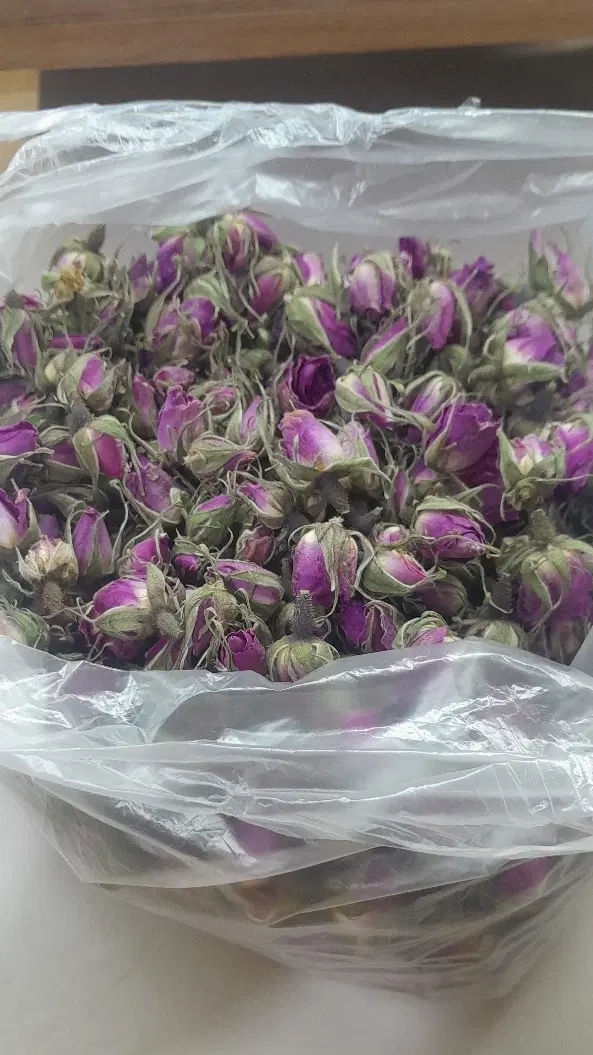 گل محمدی|گل و گیاه طبیعی|سبزوار, قصبه شرقی|دیوار