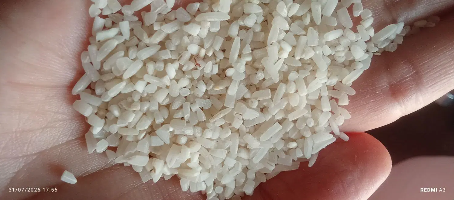 برنج|خوردنی و آشامیدنی|قزوین, |دیوار