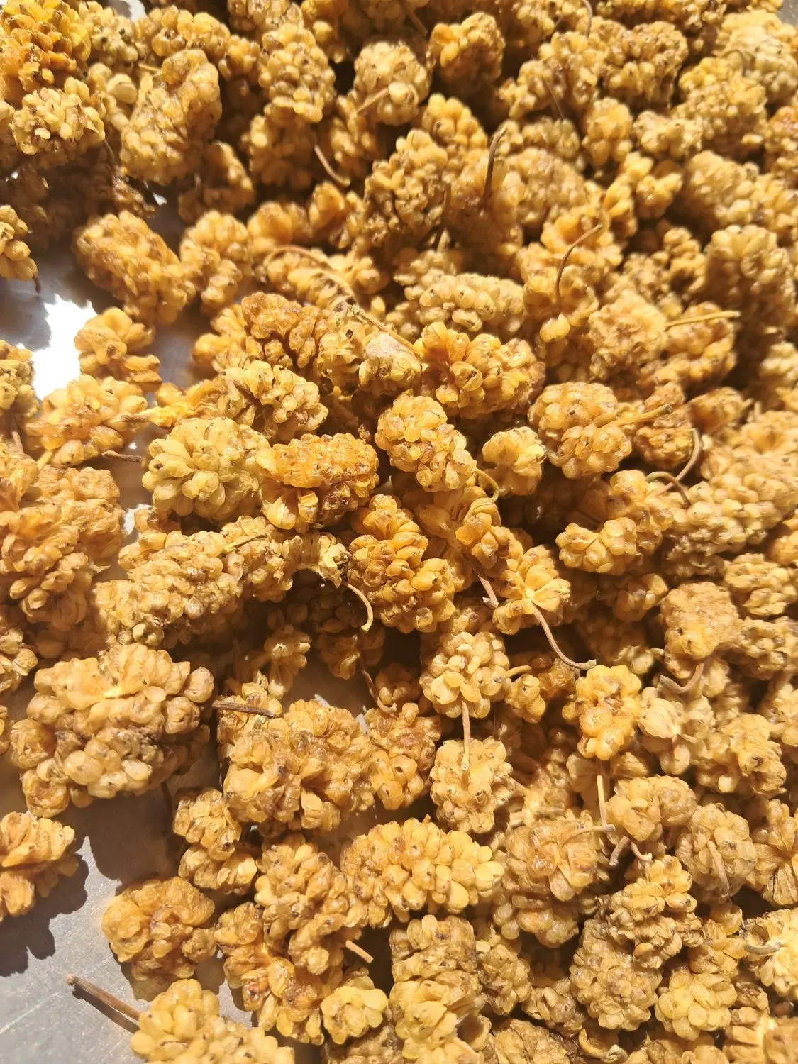 توت|خوردنی و آشامیدنی|کرمانشاه, |دیوار