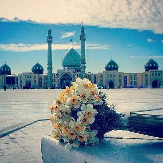 راهنمایی|فعالیت داوطلبانه|پردیس, فاز ۴|دیوار