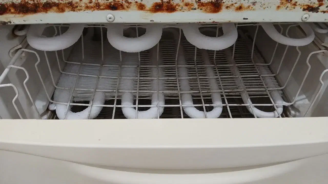 یخچال|یخچال و فریزر|رشت, استادسرا|دیوار