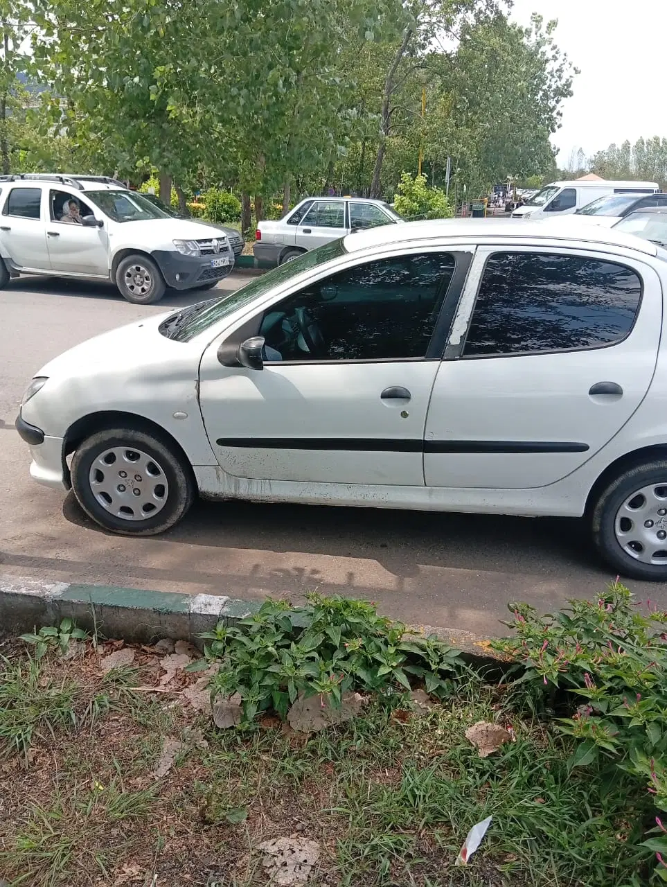 206 sd v8|خودرو سواری و وانت|رامسر, |دیوار