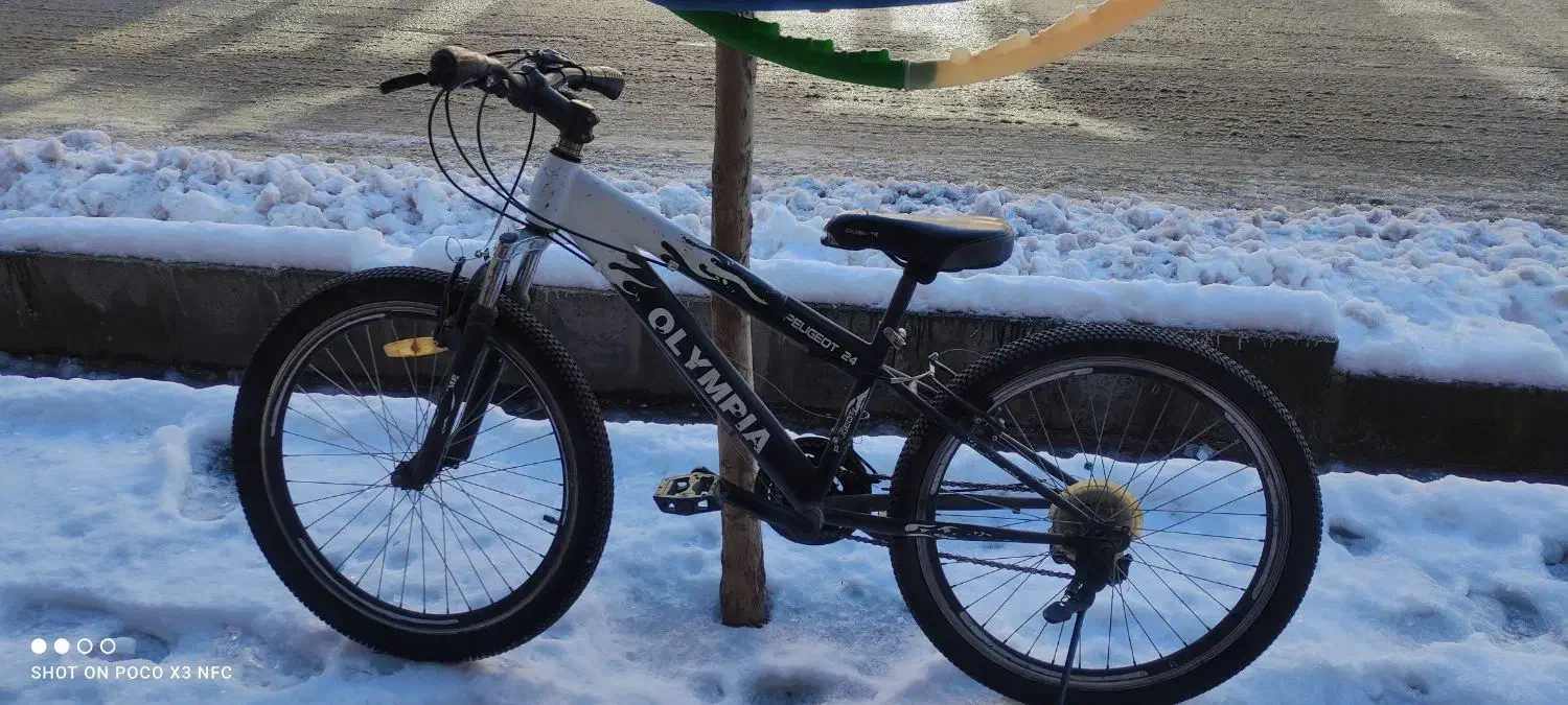 دوچرخه ۲۴|دوچرخه، اسکیت، اسکوتر|سقز, |دیوار