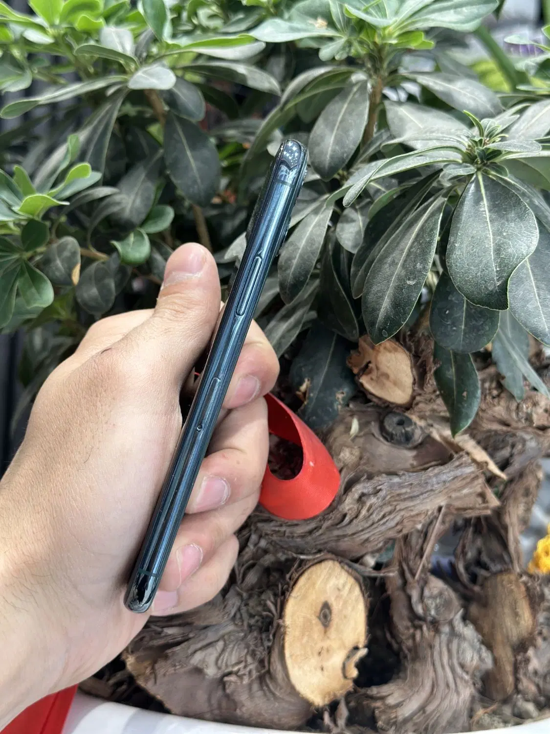 IPhone 11Pro|موبایل|مشهد, طلاب|دیوار