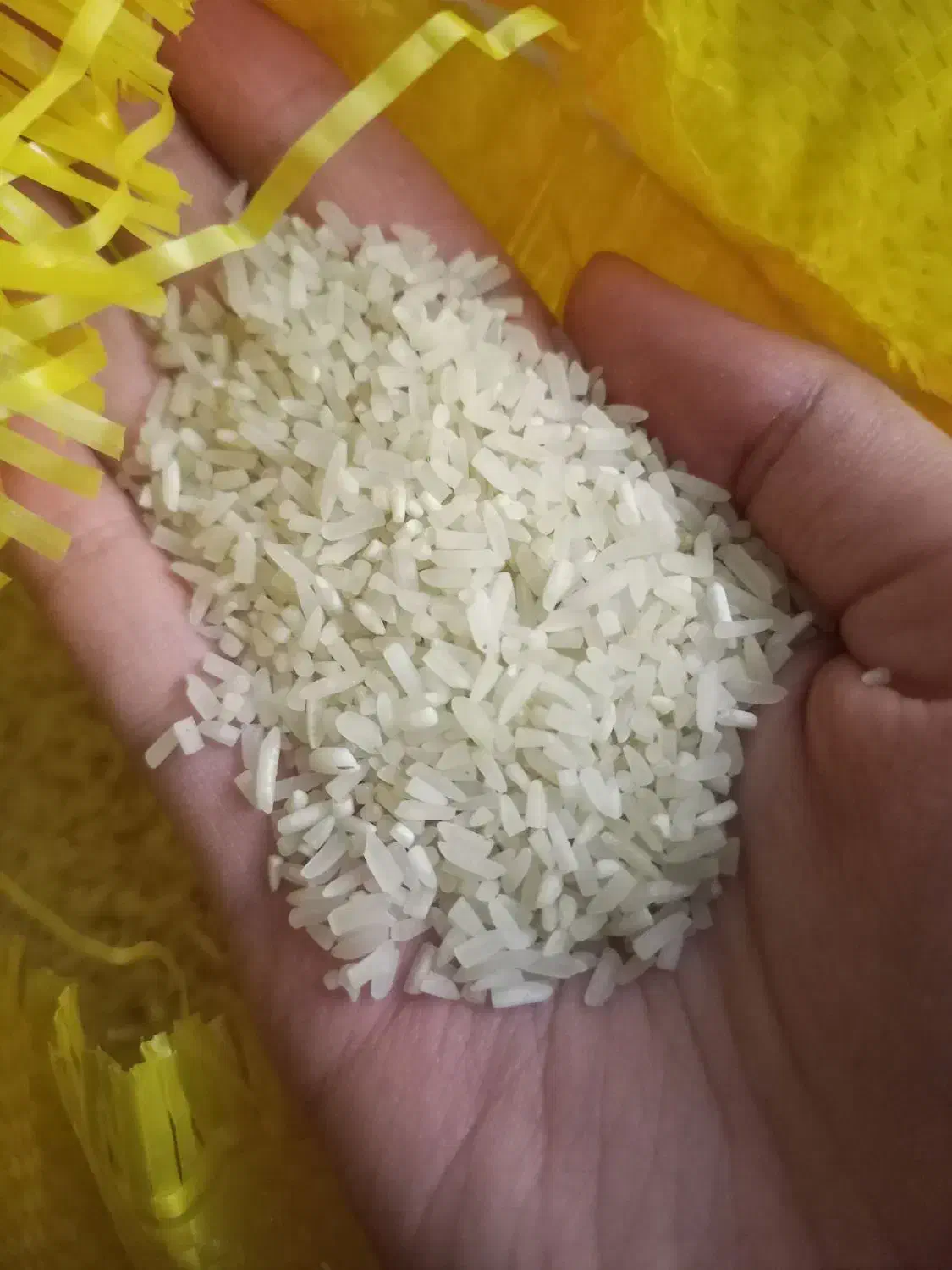 برنج سرلاشه و نیم دانه فجر درجه 1|خوردنی و آشامیدنی|مشهد, شهید قربانی|دیوار