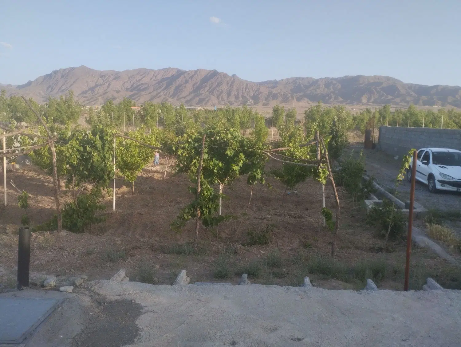 تصویر 3