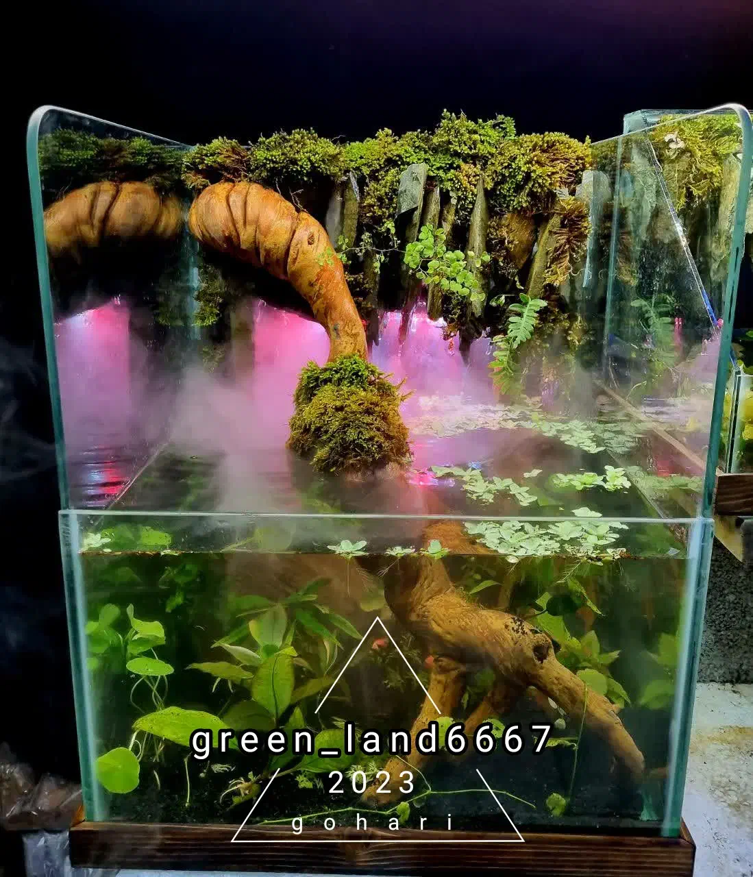 تراریوم|گل و گیاه طبیعی|مشهد, الهیه|دیوار