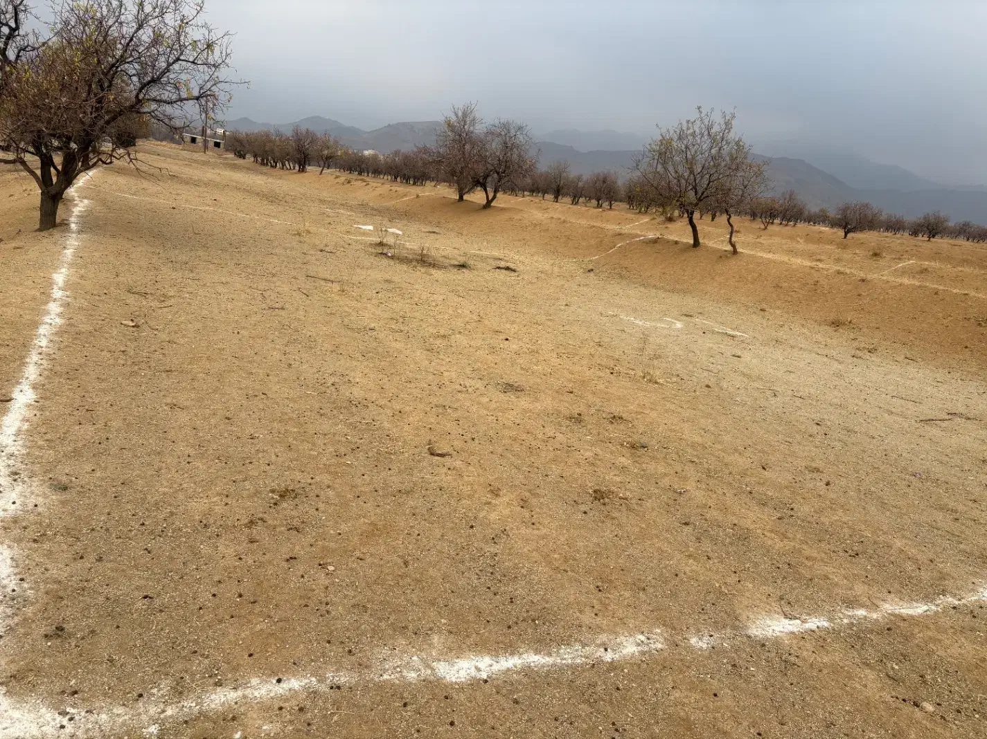 زمین|فروش زمین و ملک کلنگی|تویسرکان, |دیوار