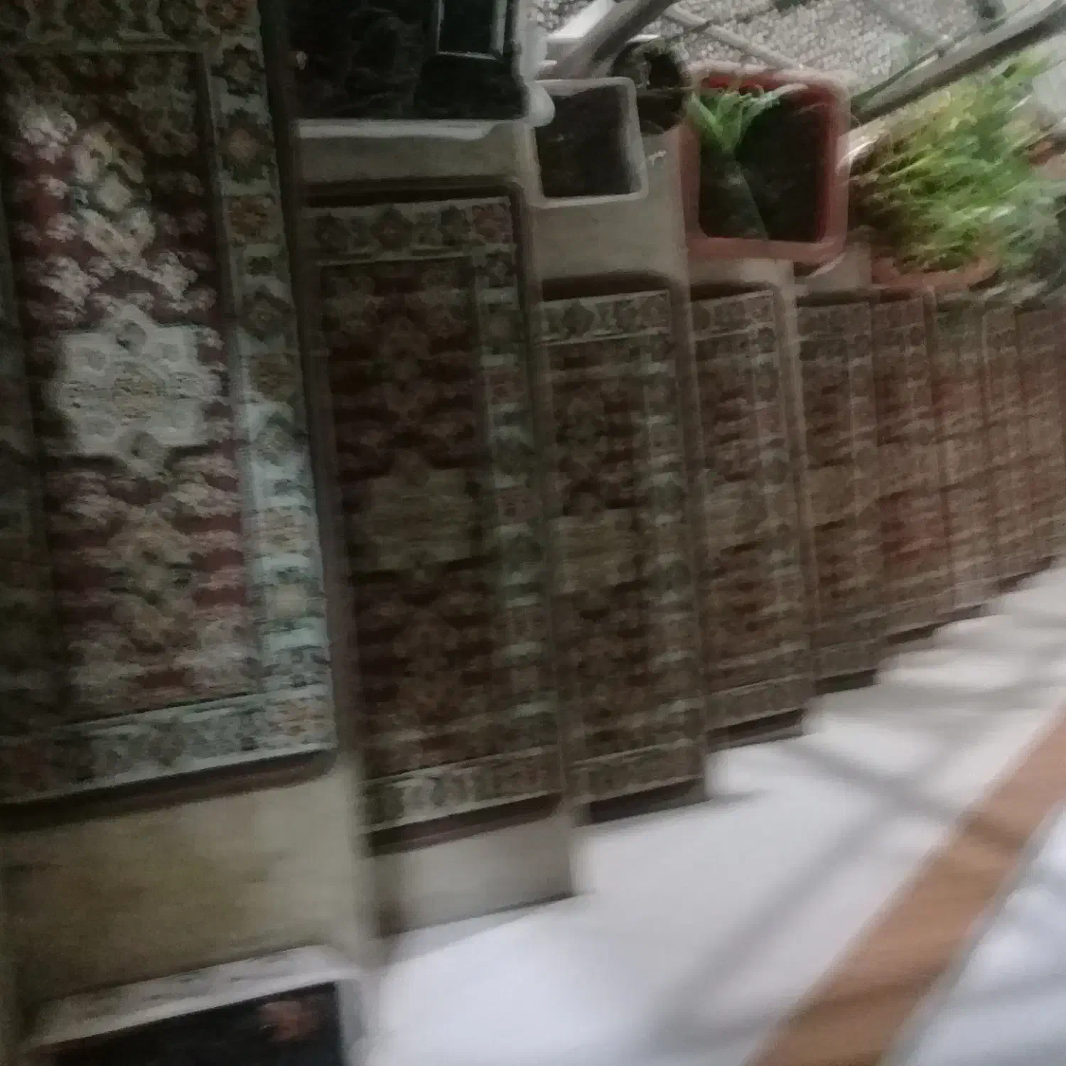 نظافت|خدمات نظافت|رشت, لاکان|دیوار