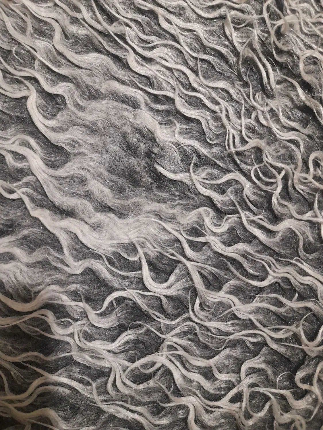 خز طوسی|پادری|تهران, هرندی|دیوار