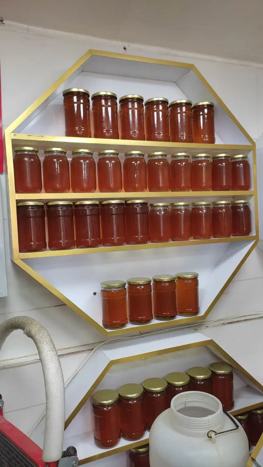 باکس|فروشگاه و مغازه|دورود, |دیوار