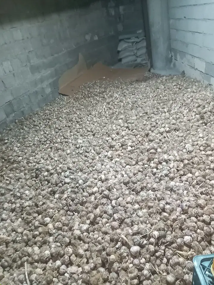 سیر|خوردنی و آشامیدنی|باسمنج, |دیوار