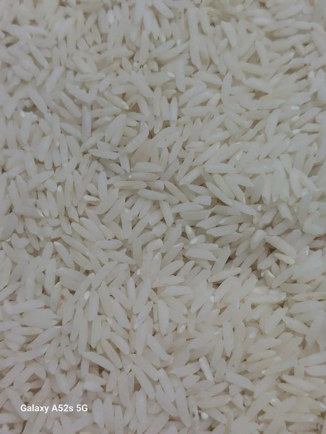 برنج|خوردنی و آشامیدنی|شیراز, فرهنگ شهر|دیوار