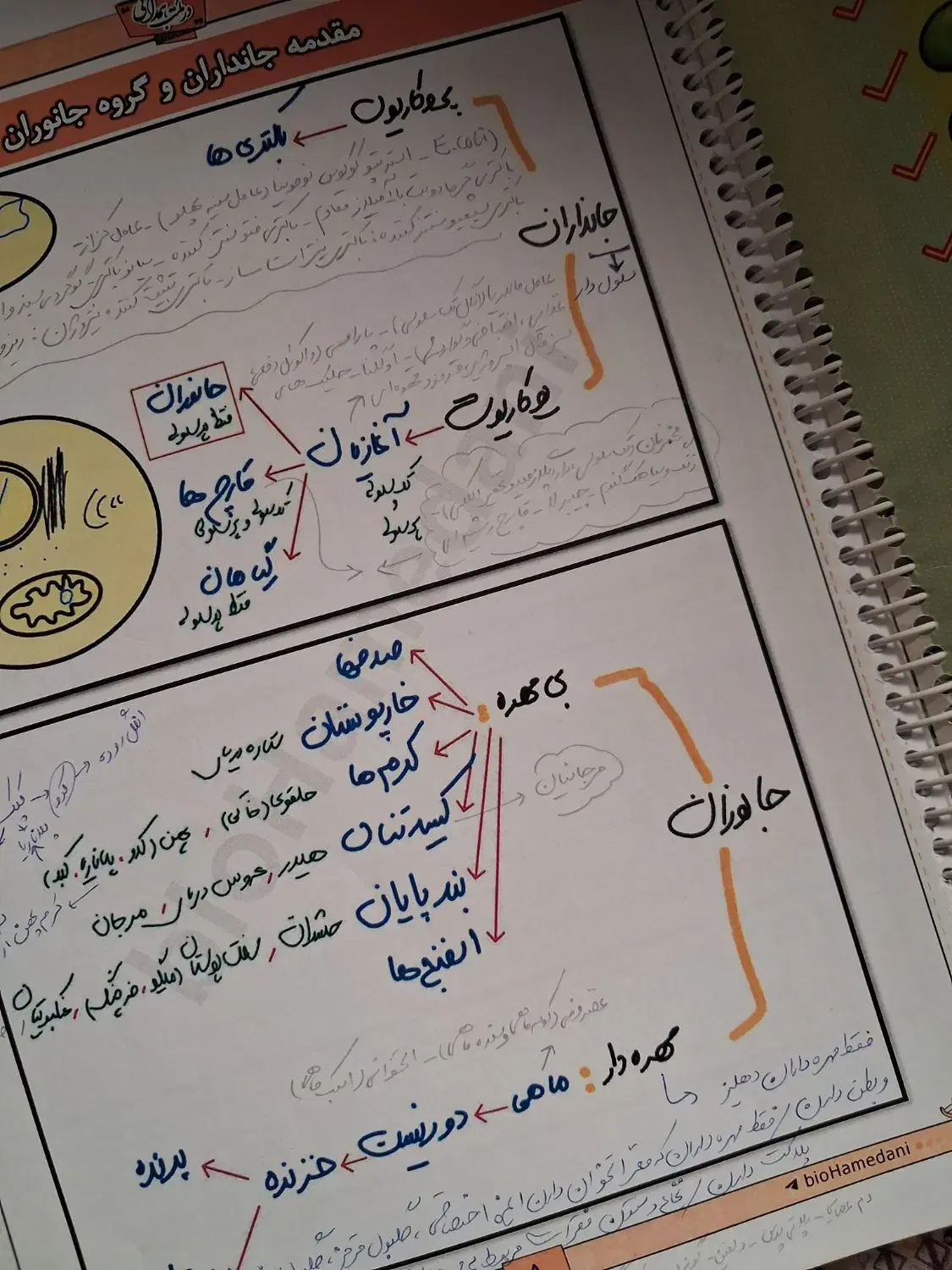 جزوه زیست|کتاب و مجله آموزشی|بوشهر, |دیوار