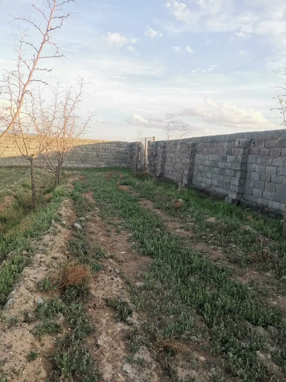 تصویر 6