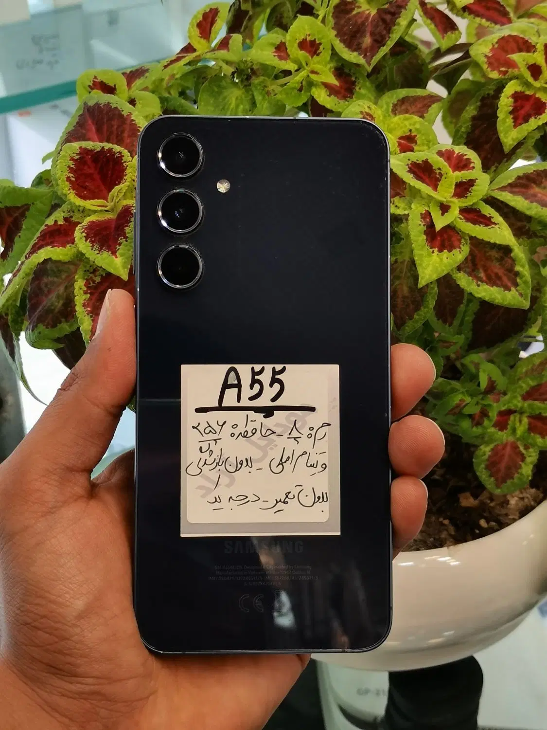 SAMSUNG A55 256g ram8|موبایل|شیراز, زند|دیوار