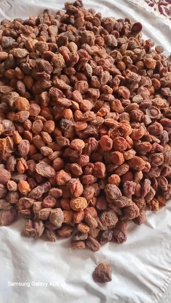 قاخ|خوردنی و آشامیدنی|قره ضیاالدین, |دیوار