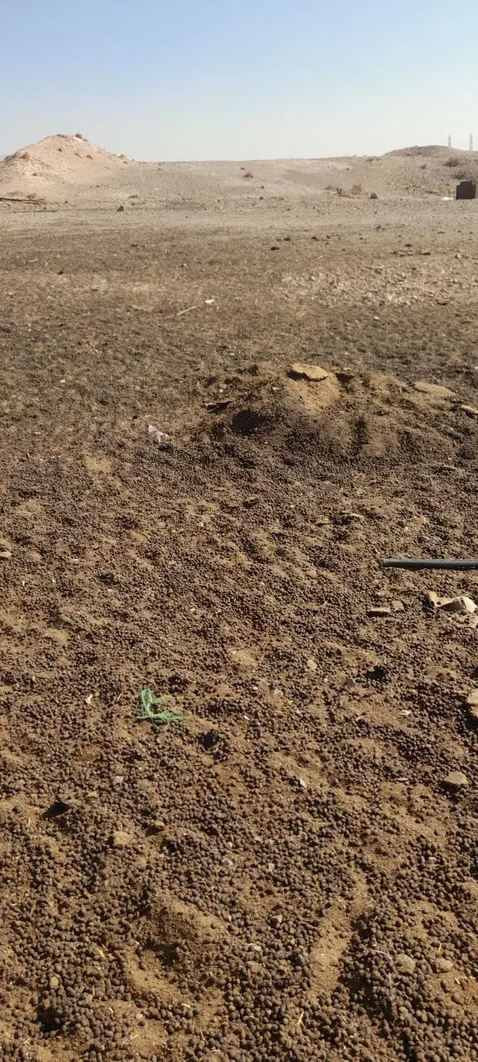 کود دامی|خدمات باغبانی و درختکاری|هشتگرد, فاز ۱ مهستان|دیوار