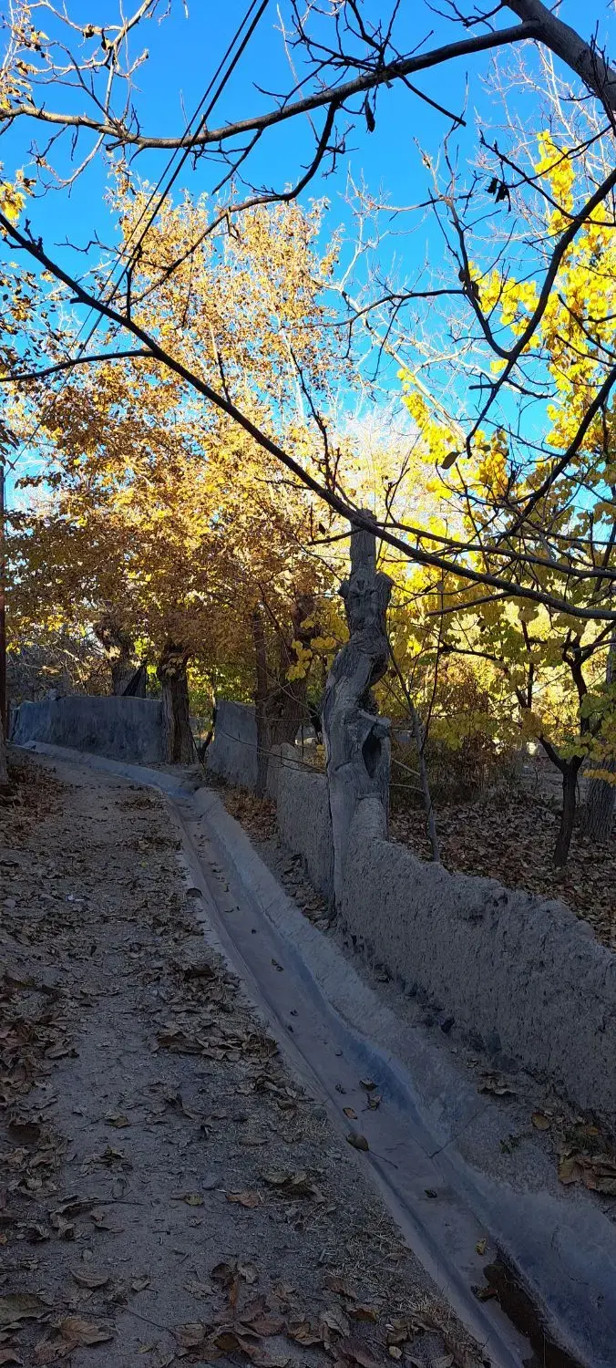 تصویر 4