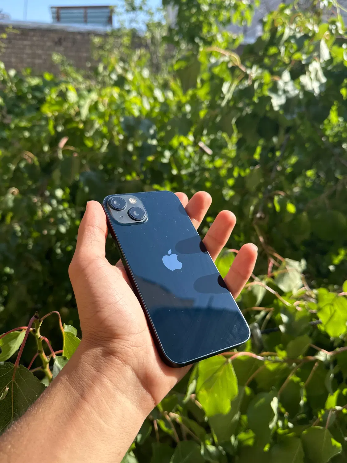 Iphone 13|موبایل|تبریز, |دیوار