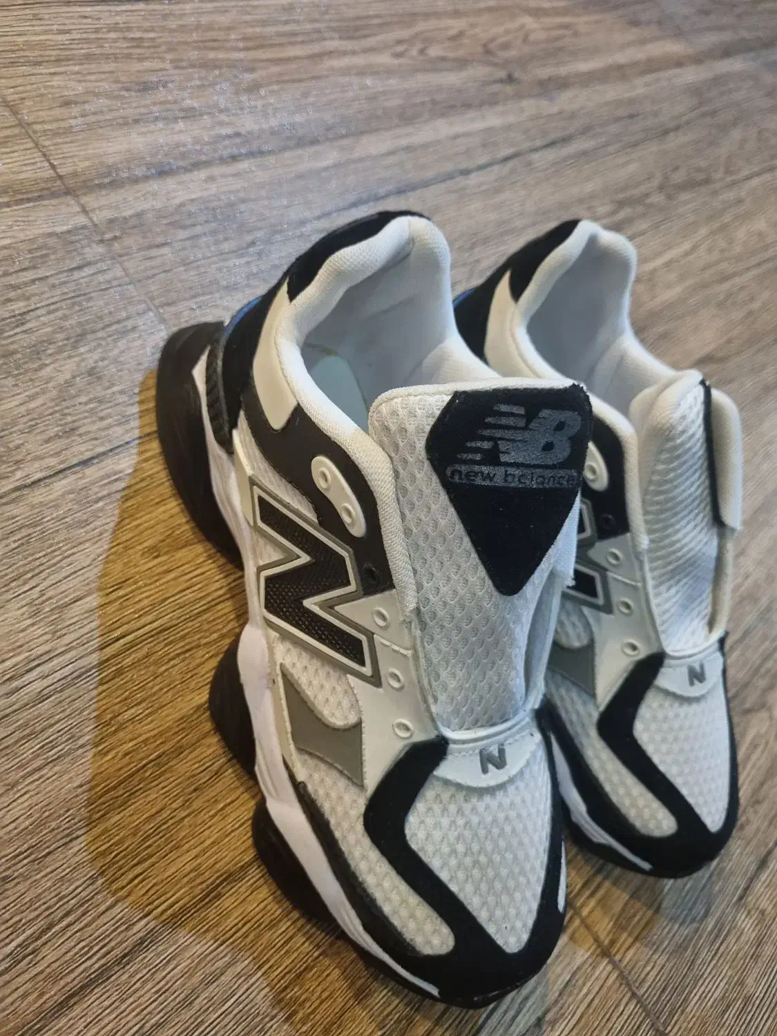 کفش|کیف، کفش، کمربند|شیراز, شهرک قمشه|دیوار