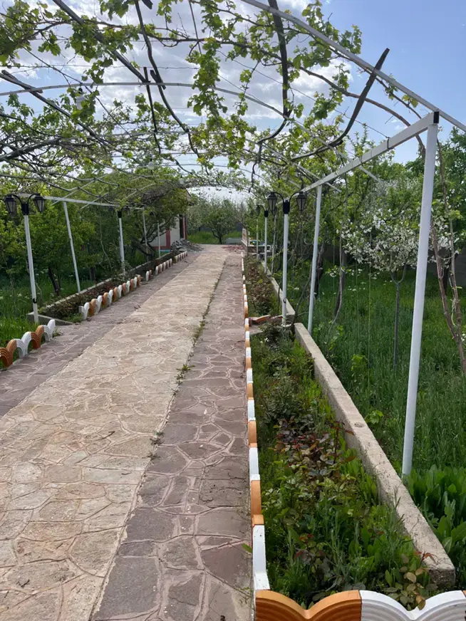 تصویر 4