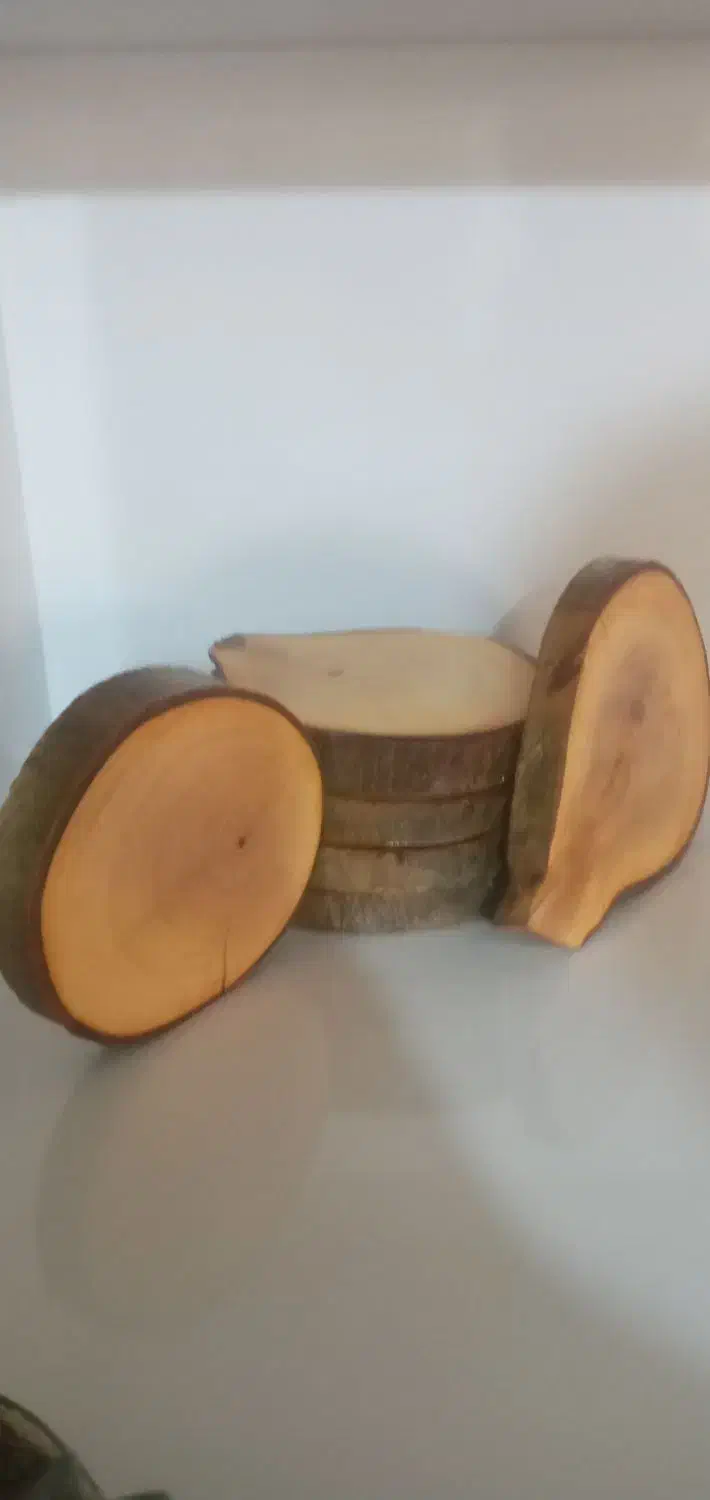 ست ۶ عددی زیر لیوانی گرد|ظروف سرو و پذیرایی|بابلسر, |دیوار