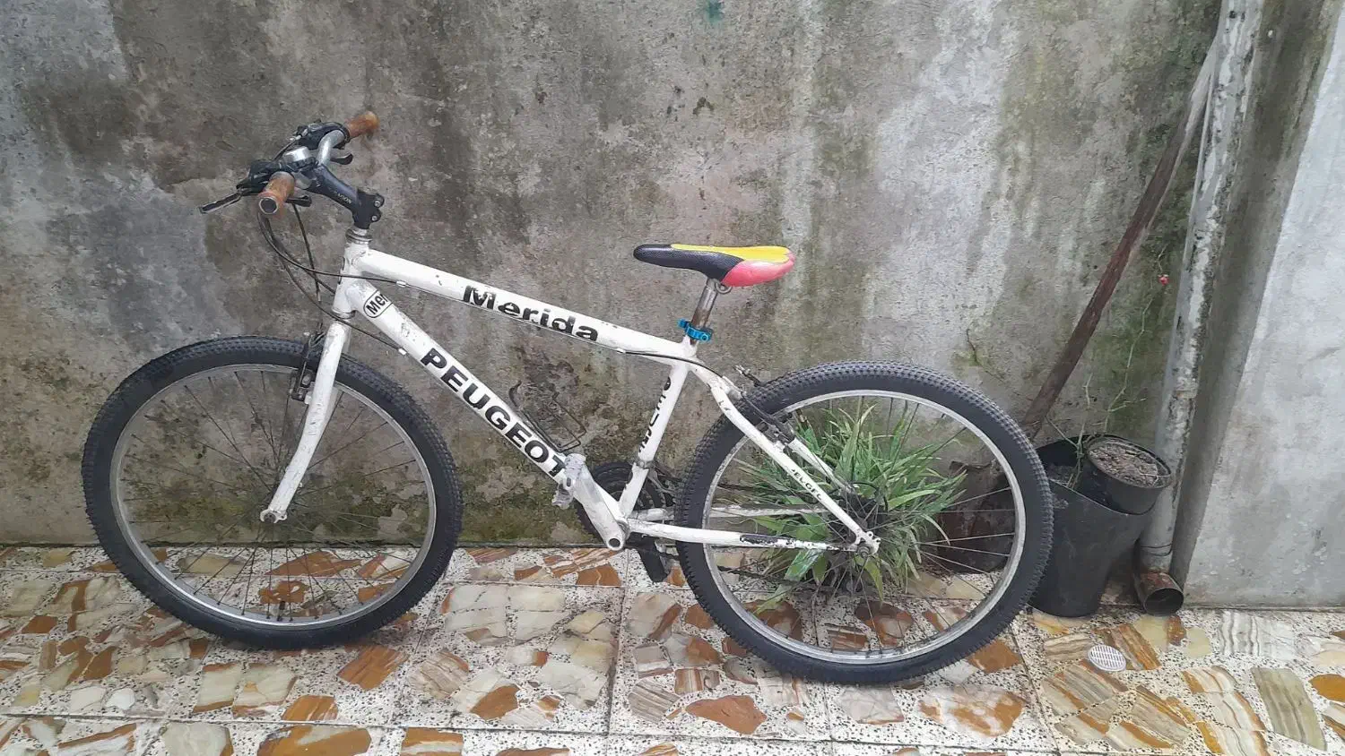 دوچرخه|دوچرخه، اسکیت، اسکوتر|رشت, نخودچر|دیوار