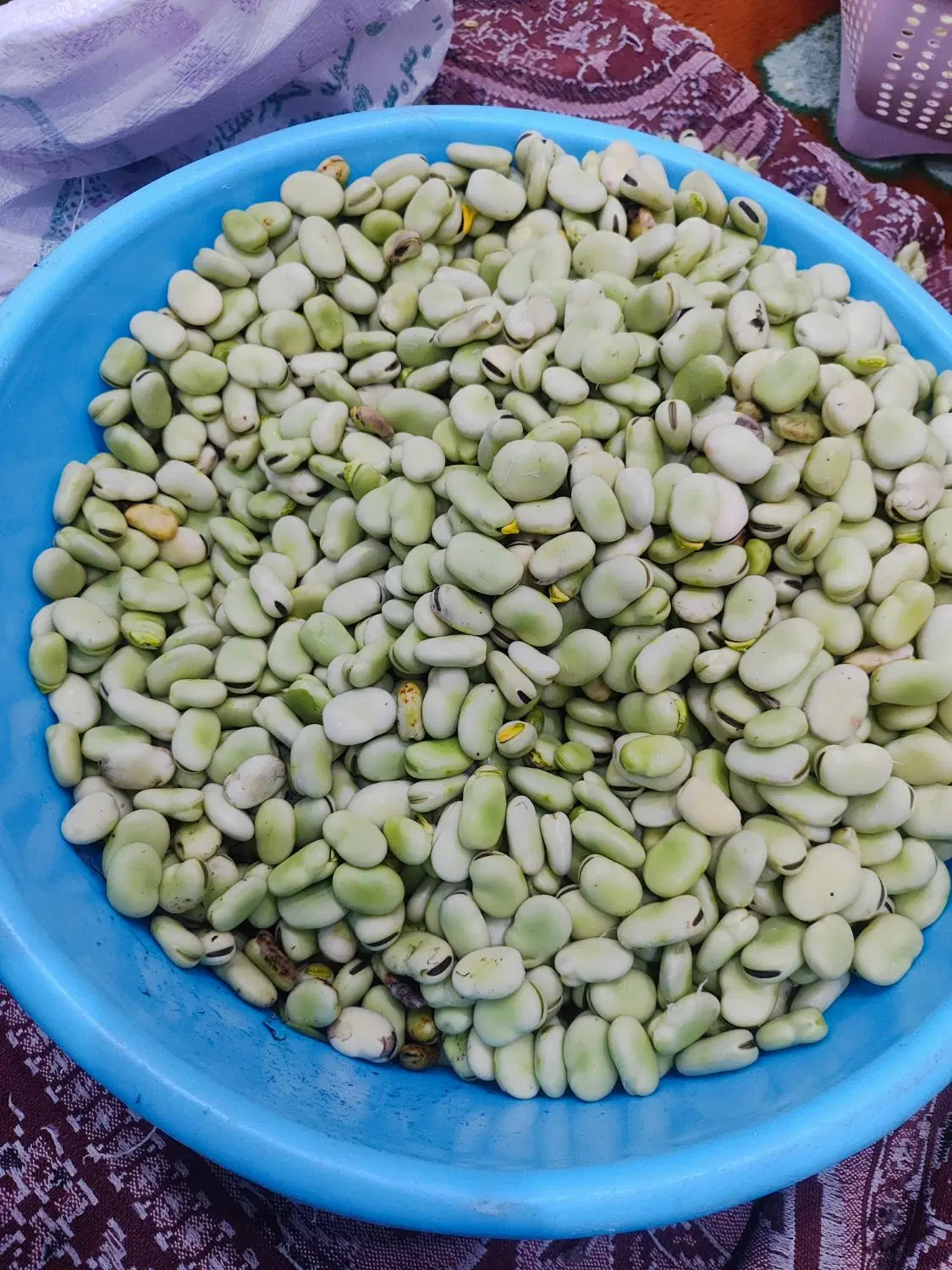 باقله|خوردنی و آشامیدنی|کارون, |دیوار