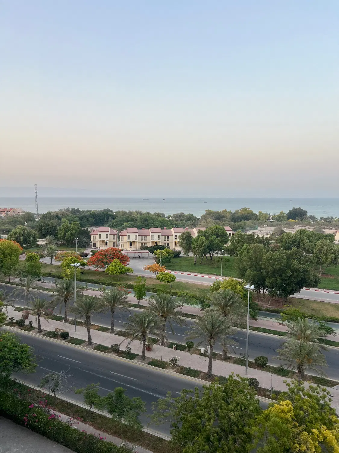 تصویر 2