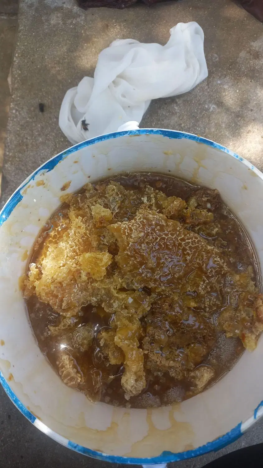 عسل کمر|خوردنی و آشامیدنی|جم, |دیوار