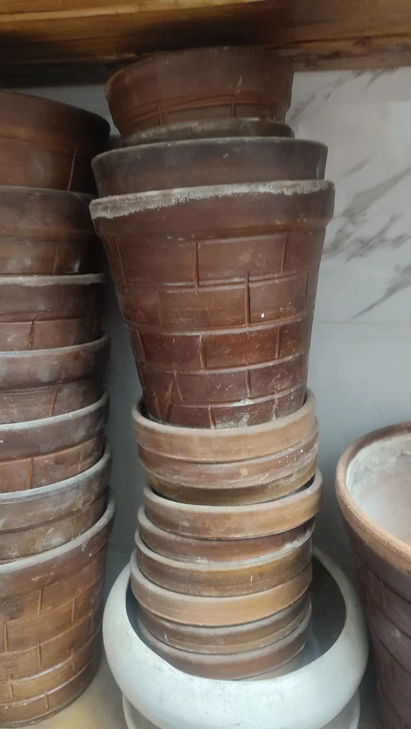 گلدان|گل و گیاه طبیعی|نسیم‌شهر, |دیوار